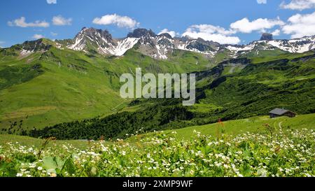 La vallée de Roselend, Beaufort, Beaufortain, Savoie, France, entouré de pâturages et de montagnes (pointe de Presset et Pierra Menta) Banque D'Images