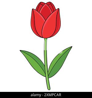 Belle illustration vectorielle tulipe rouge Illustration de Vecteur