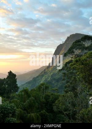 Une image d'Ella Rock à Ella, Sri Lanka couverte de lumière dorée au lever du soleil Banque D'Images