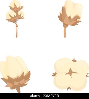 Collection de quatre bolls de coton en différentes étapes, illustrés dans une palette douce et pastel Illustration de Vecteur