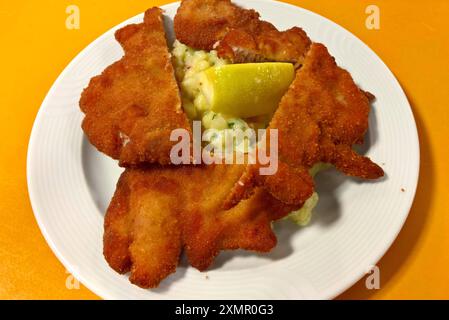 Backhendl mit Kartoffelsalat. Backhendl oder Wiener Backhendl - auch Backhuhn, Backhähnchen, Französisch poulet frit a la viennoise, ist seit dem 18. Jahrhundert eine Spezialität der Wiener Küche. Es besteht aus vorbereiteten und gewürzten Teilstücken vom Huhn, die paniert und frittiert oder ausgebacken werden *** poulet cuit avec salade de pommes de terre poulet cuit ou poulet frit viennois, également connu sous le nom de poulet frit, frit de poulet français à la viennoise, a été une spécialité de la cuisine viennoise depuis le 18ème siècle, il se compose de morceaux préparés et assaisonnés de poulet qui sont panés et deep-fr Banque D'Images