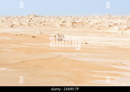 Désert occidental d'Egypte, trésor géologique Banque D'Images