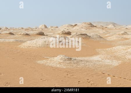 Désert occidental d'Egypte, trésor géologique Banque D'Images