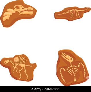 Collection d'illustrations de fossiles de dinosaures préhistoriques et de dessins animés pour du matériel éducatif, des expositions de musée et des ressources d'apprentissage pour les enfants Illustration de Vecteur