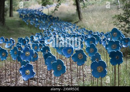 Sculptures en céramique de coquelicots bleus de l'Himalaya par l'artiste Anna Whitehouse au jardin et parc de sculptures de l'Himalaya Banque D'Images