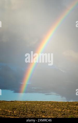 Arc-en-ciel au-dessus des arbustes en Aragon lors d'un jour d'été tempête, Espagne Banque D'Images