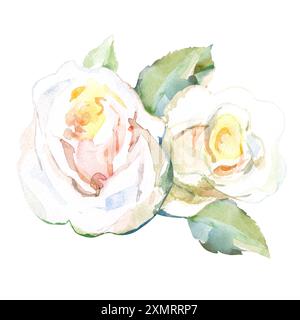 Roses blanches avec des feuilles vertes dans les fleurs de jardin de collection. Illustration aquarelle pour la conception florale de mariage de bouquets, couronnes, arrangements Banque D'Images