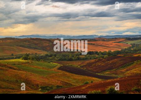 Le paysage toscan italien présente des collines ondulantes dans différentes nuances de vert et de brun, bordées par des parcelles d'arbres. Des nuages spectaculaires pendent bas dans le Banque D'Images