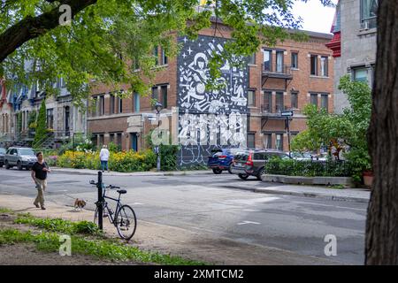 Montréal, Canada - 22 juillet 2023 : une murale Benjamin Tran située près de la place St-Louis, avec une personne promenant son chien au premier plan Banque D'Images