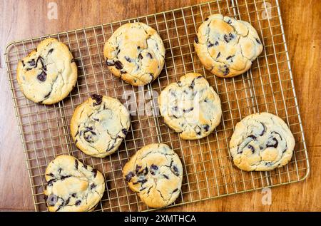 Biscuits de copeaux de chocolat frais sur grille de refroidissement, plat, fond. Banque D'Images