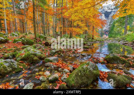 Scène d'automne captivante près du lac Hinterer Langbathsee. Destination de voyage populaire. Localisation : Vorderer Langbathsee, région de Salzkammergut, haute Austr Banque D'Images