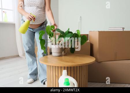 Femme enceinte arrosant la plante d'intérieur dans un nouvel appartement Banque D'Images