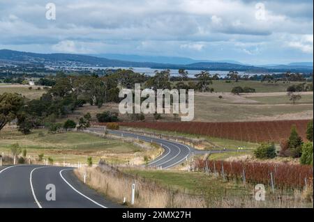 Une cour de vigne avec sa couleur d'automne cuivre/rouge autour de la zone rurale de Boomer Bay avec son industrie florissante d'huîtres dans le sud-est de Tasman Banque D'Images