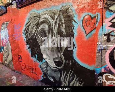 Tunnel graffiti, rue Leake Banque D'Images