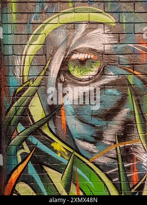 Tunnel graffiti, rue Leake Banque D'Images