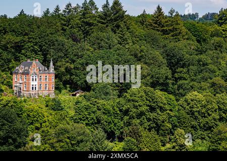 Bâtiment de style palatial avec des toits à pignons et des dômes coniques gris, des fenêtres, entouré d'arbres verdoyants abondants en arrière-plan, journée d'été ensoleillée Banque D'Images