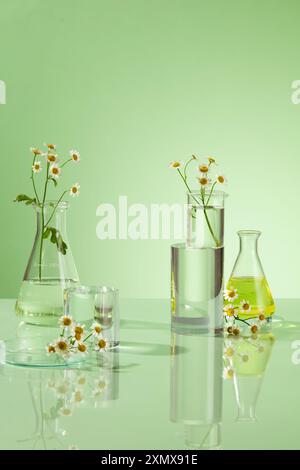 Concept de laboratoire avec extrait de fleur de camomille et quelques équipements nécessaires sur fond vert frais. Pour photo de recherche ou développer Beaut Banque D'Images