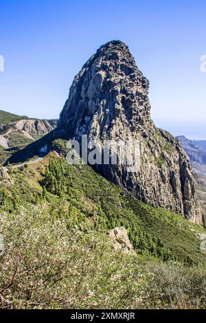 Vue sur le Roque de Agando depuis le point de vue de Los Roques, îles Canaries, la Gomera, Parc National Garajonay Banque D'Images