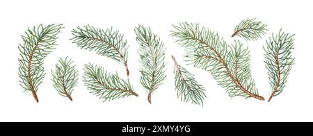 Branche de sapin avec aiguilles vertes set illustration de l'aquarelle. Plantes forestières pour l'hiver et le décor de Noël. Isolé de l'arrière-plan. PIN, sapin, larc Banque D'Images