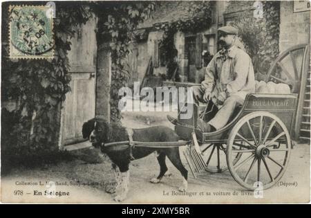 CHARIOT ET CHIEN DE BAKER Banque D'Images