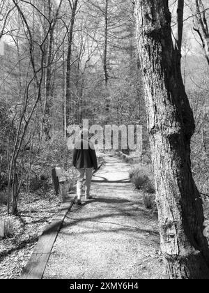 Femme caucasienne âgée de 50-55 ans portant des hauts rouges faisant de la randonnée sur un sentier pittoresque au terrain de camping Davidson River, près de Brevard et Hendersonville, Caroline du Nord. Banque D'Images