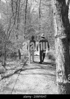 Couple caucasien âgé de 50-55 ans faisant de la randonnée sur un sentier au Davidson River Campground, comté de Transylvanie, près de Brevard et Hendersonville, Caroline du Nord. ÉTATS-UNIS Banque D'Images