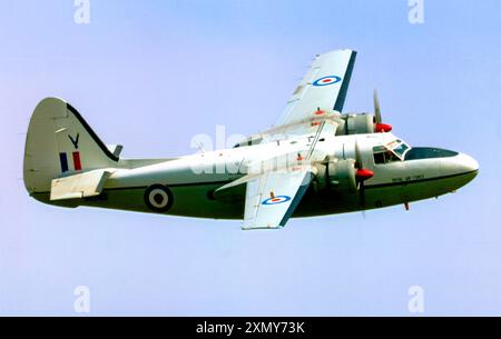 Percival Pembroke C.1 G-BNPH / WV740 Banque D'Images