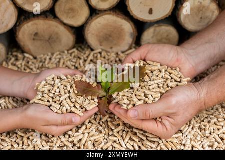 Les mains de l'enfant et de l'homme tiennent des granulés de bois devant un mur de bois Banque D'Images