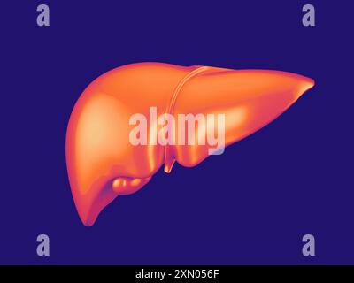 Modèle métallique abstrait du foie humain avec vésicule biliaire isolé sur fond bleu foncé Banque D'Images