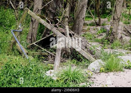 Arnis, Allemagne. 24 juillet 2024. Dans une zone boisée se trouve le cadre d'escalade d'un terrain de jeu qui a été complètement submergé lors de la forte onde de tempête de la mer Baltique à l'automne 2023. La digue d'Arnis a été brisée sur une longueur de 60 mètres par l'inondation. Tout le long de la côte, des digues et des installations portuaires ont été endommagées ou détruites, et des maisons, des campings et des hôtels ont été dévastés. Le gouvernement de l'État a estimé les dégâts à environ 200 millions d'euros. Crédit : Frank Molter/dpa/Alamy Live News Banque D'Images