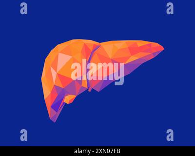 Foie abstrait, low-poly rendu dans des tons chauds orange et rose sur un fond bleu frais. Évoque les thèmes de la santé, de la vitalité, de la fonction et de la complexité du corps humain, rendu 3D. Banque D'Images