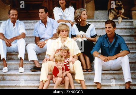 9-08-1987 Palma di Maiorca Archivio Storico Olycom/LaPresse Henry, duca di Sussex, Meglio noto come Harry (Henry Charles Albert David; Londra, 15 settembre 1984), è un nobile e militare britannico, principe e membro della famiglia reale britannica, quinto in linea di succesone al trono del Regno Unito e dei reami del Commonwealth, dopo il fratello e i nipoti. Ha ricoperto il grado di maggiore nel reggimento dell'Household Cavalry (bleus et royaux) dell'esercito britannico. È il figlio secondogenito del re Carlo III del Regno Unito e di Diana Spencer (1961-1997), nonché il quarto nipote dell Banque D'Images