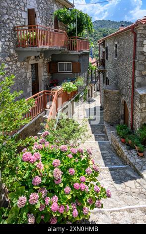 Vieilles maisons traditionnelles en pierre et ruelle pavée dans le village de Stemnitsa, en Arcadie, centre du Péloponnèse, Grèce. Banque D'Images