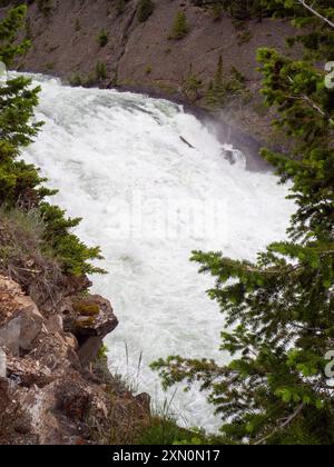 Bow River Falls, Banff, Alberta, Canada Banque D'Images