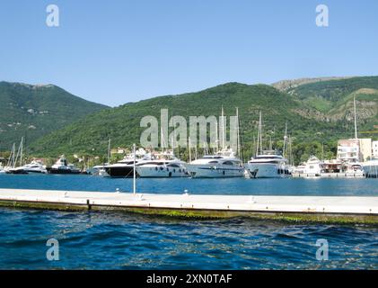 Monténégro, juin 2011 : vue depuis l'eau au lieu d'amarrage, ou parking de yachts de luxe privés au large de la côte du Monténégro. Banque D'Images