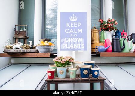 Moscou, Russie, septembre 2019 : fleurs dans des pots en céramique, lapins, citrouilles, beaucoup d'arrosoirs et une affiche lilas : restez calme et cultivez des plantes. Banque D'Images