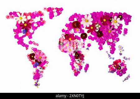 Composition de fleurs violettes, blanches et roses en forme de carte du monde isolé sur fond blanc. Jour de la Terre. Planète respectueuse de l'environnement. Banque D'Images