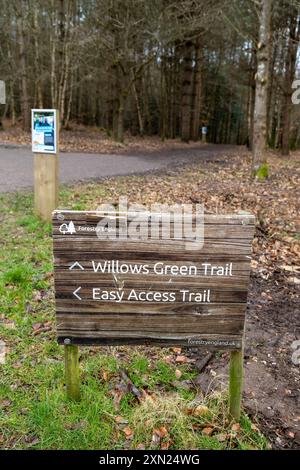 Willows Green Trail, forêt Alice Holt, Farnham Banque D'Images