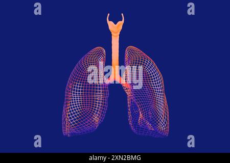 modèle filaire 3d de poumons humains rendus dans des teintes orange et rouge chaudes sur un fond bleu froid. Évoque les thèmes de la respiration, de la santé et des fonctions vitales du corps Banque D'Images