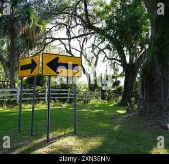 Une paire de flèches directionnelles jaunes pointant vers la gauche, situé dans un parc verdoyant luxuriant avec des arbres imposants drapés de mousse espagnole. Cette image capture le Banque D'Images