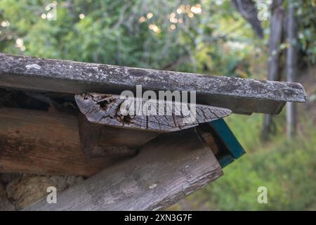 Un gros plan du bord d'un vieux toit en bois, montrant des signes d'usure avec des planches de bois fissurées et des échelles manquantes Banque D'Images