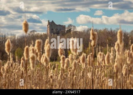 Édimbourg, Écosse, 04.12.2021 : vue du château de Craigmillar à Édimbourg, avec quelques nuages dans le ciel et des herbes dorées au premier plan Banque D'Images