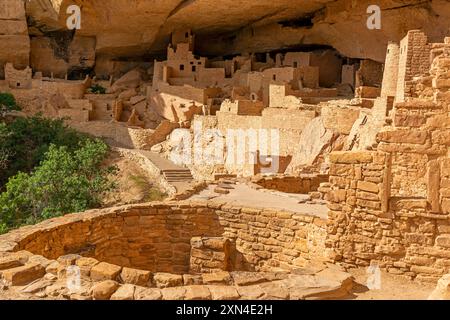 Cliff Palace architecture de la culture Pueblo et Anasazi, parc national Mesa Verde, Colorado, États-Unis. Banque D'Images