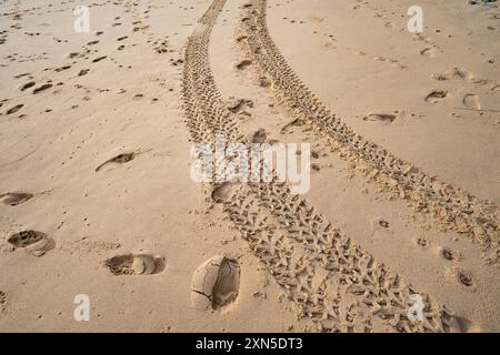 Chenilles pour pneus 4x4 sillonnent les chenilles pour pneus sur fond de texture sable. Banque D'Images