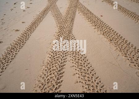 Chenilles pour pneus 4x4 sillonnent les chenilles pour pneus sur fond de texture sable. Banque D'Images