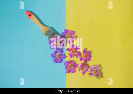 Mise en page créative avec pinceau et fleurs sauvages violettes sur fond bleu et jaune. Pinceau peintures avec fleurs Copier espace plat poser vue de dessus Connect Banque D'Images