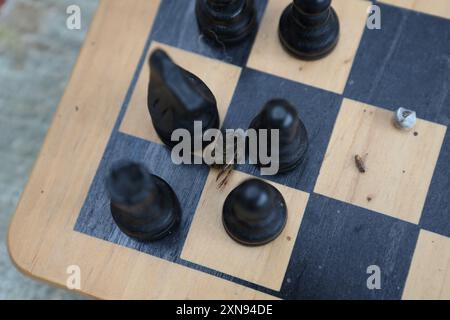 Échiquier jeu d'échecs pièces d'échecs avec guêpe morte - concept pensée compétences décision stratégie de prise de décision prochain mouvement oublié poussiéreux Banque D'Images