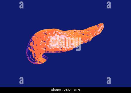 Le pancréas, organe orange vibrant, est essentiel à la digestion et à la régulation de la glycémie. Il produit des enzymes pour décomposer les aliments et les hormones comme l'insuline et le glucagon, rendu 3D. Banque D'Images