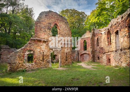 Ruines du château de Stary Ksiaz à Walbrzych, Pologne Banque D'Images