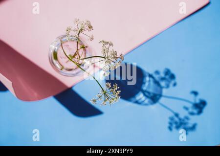 Un beau vase contenant un bouquet de fleurs élégantes est placé élégamment sur fond bleu et rose Banque D'Images